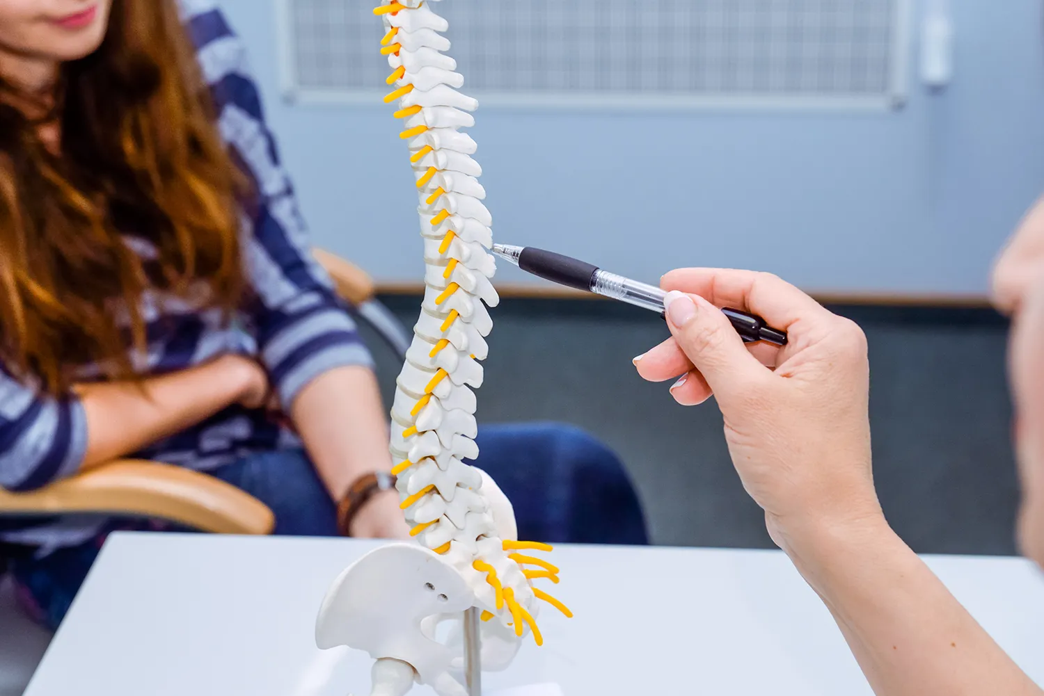 Provider pointing a pen at a spine model while explaining it to a patient.